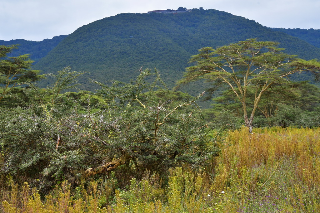 Ngorongoro Crater